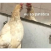 eu so patética