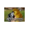 TNB/IG-TEMPLATESNIBBA 22