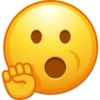 EMOJIS VARIADOS 🫦🤓 26