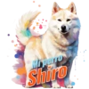 Mi perro Shiro