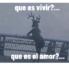que es vivir?... que es el amor?...