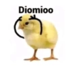 Diomioo