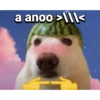 Aksksksowkwokskskj 12