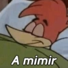 PICA-PAU MEMES 8