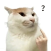 MEMES XD 17