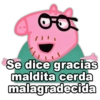 MEMES Rck 27 5