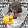 jajajajajjjaja jjkajajbar kajjjajaja jajaja aka jk jaj jaj jaj jajajo ajajajjj ajjajajj iajak DAY a ajj jajk jajajj ajjajaa