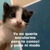 💓 ✨Memes y amor✨ 💓 12