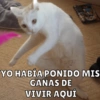 Michis pt.2 11