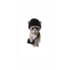 Kucing lucu 12