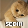 SEDIH
