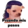 Pisando mis pasos