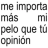 me importa más mi pelo que tú opinión