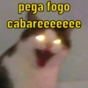 GATINHOS 🥰 5