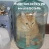 Animalitos con frases 1 ❤️😎 15