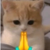 😎 STICKERS SHITPOST 3 🤙 6