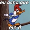 PICA-PAU MEMES 13