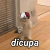 REAÇÕES E DEBOCHES😁 6