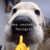 Memes 3.0🫆🧿 28