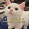 Yo admirando lo hermosa que estás.