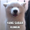 YANG SABAR KAWAN