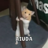 Animalitos🐾🥰 13