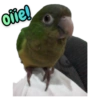 ofie!