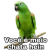 O melhores memes 2020 15