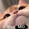 ai dise MIO.