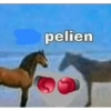 Shitpost Random 1 13
