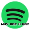 WHY ARE U GAY