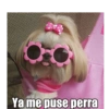 Gatiperros para resonder.  10