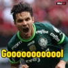 Palmeiras  15