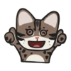 SWAG leopard cat 14