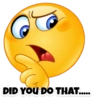 DID YOU DO THAT.....