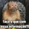 3 faço o que com essa informação?