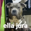 Ella jura 💅🏻❗❗❗ TikTok 10