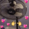 JIV
DELTA