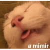 Shitpost Random 1 15