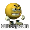 Husborth
Calla bieja sorra