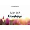 Bom dia 12