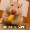 Animalitos🐾🥰 5