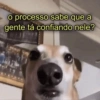 ▸o processo sabe que a gente tá confiando nele?