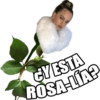 STICKERS QUE NECESITAS 🤣 13