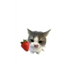 Kucing lucu 6