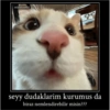 Catsarecute 20