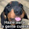 Hazle así a la gente culera