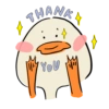 The duck 21