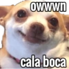 Memes Variados 3 16