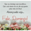 Bom dia 7